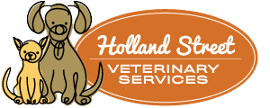 Holland Street Veterinary Services logo